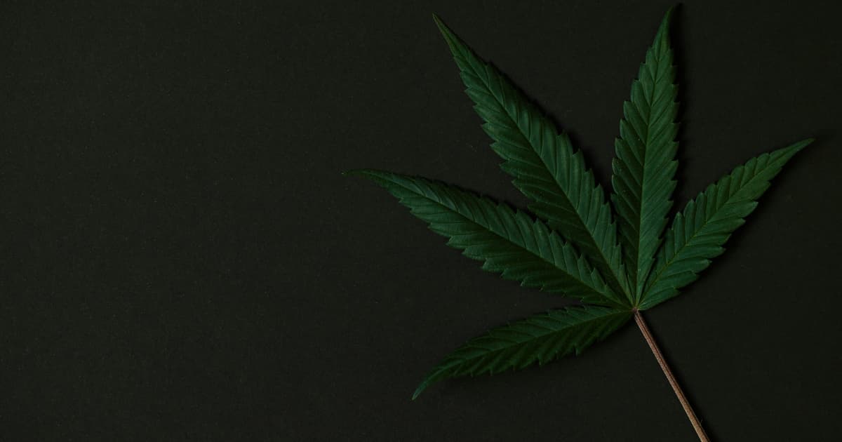 Massachusetts Cannabis Market Faces Price Pressures Amid Record Growth, Prompting Regulatory Review