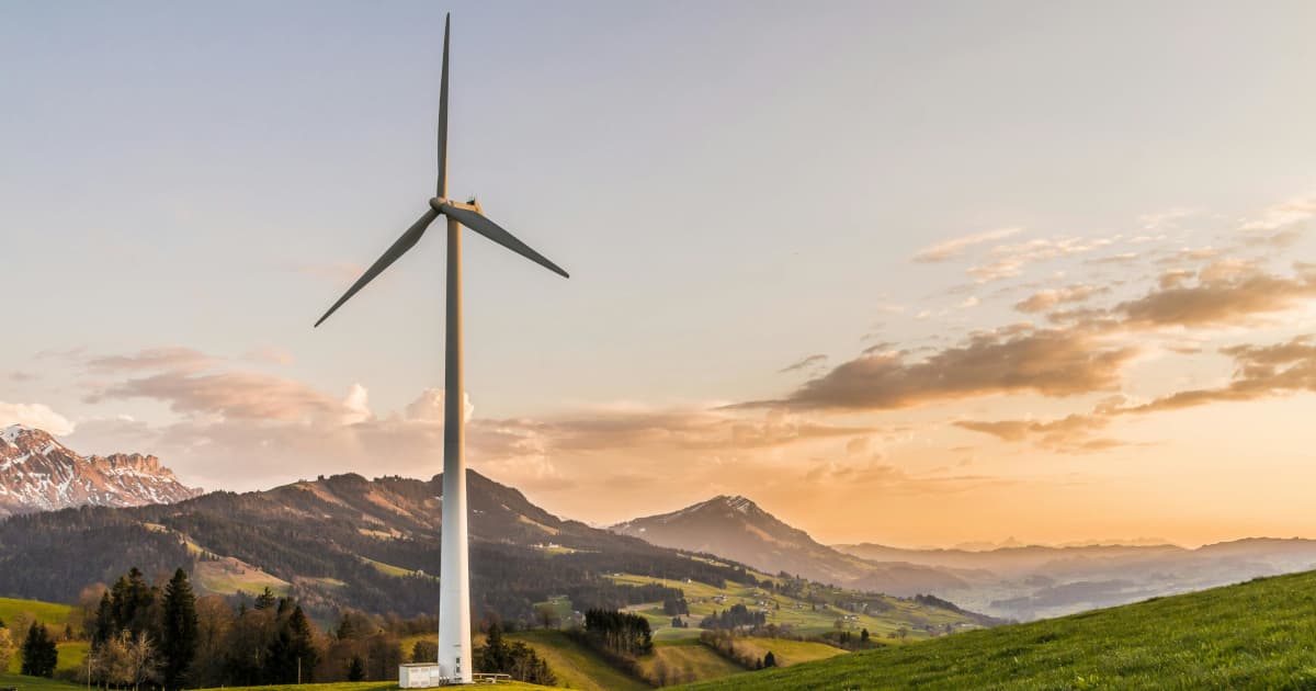 Dr. Le Thu Grant Opens Applications for Undergraduate Environmental Conservation Projects