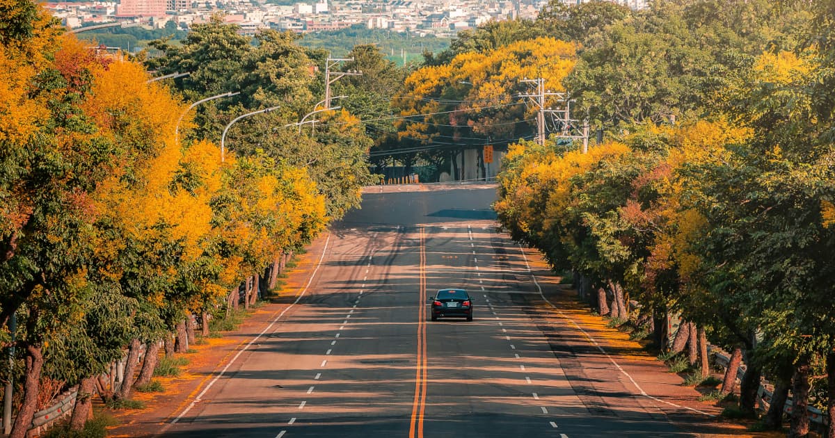 Sierra Leone Heritage Tour Blends Cultural Reconnection with Economic Development