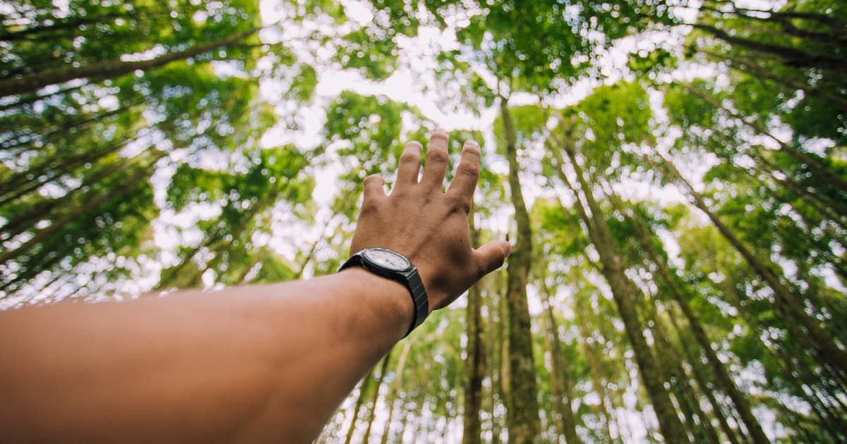 Strategic Capital Access Bridges Seasonal Cash Flow Gaps for Businesses